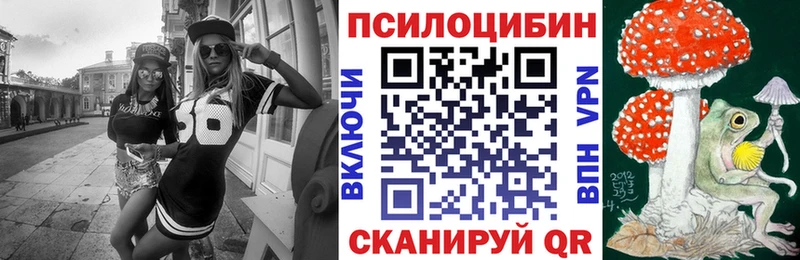 Купить закладки  Горно-Алтайск  Псилоцибиновые грибы мицелий 